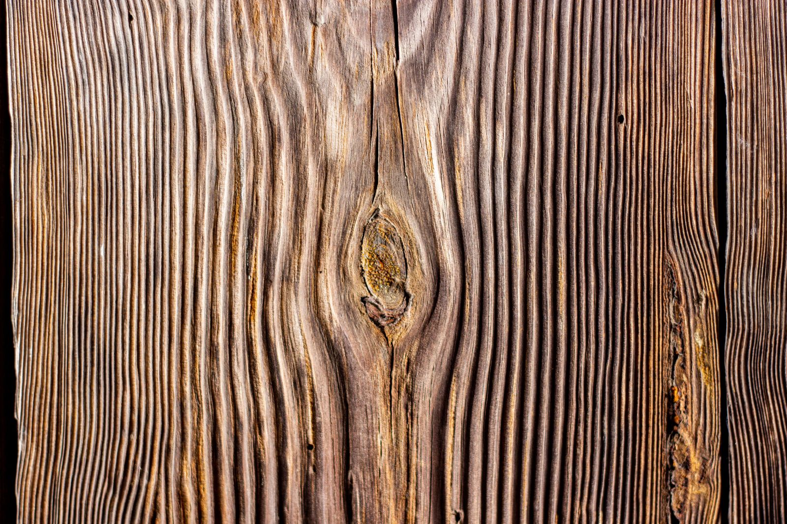 Close on the grain of weathered reddish hardwood, the knot and every line of it showing.